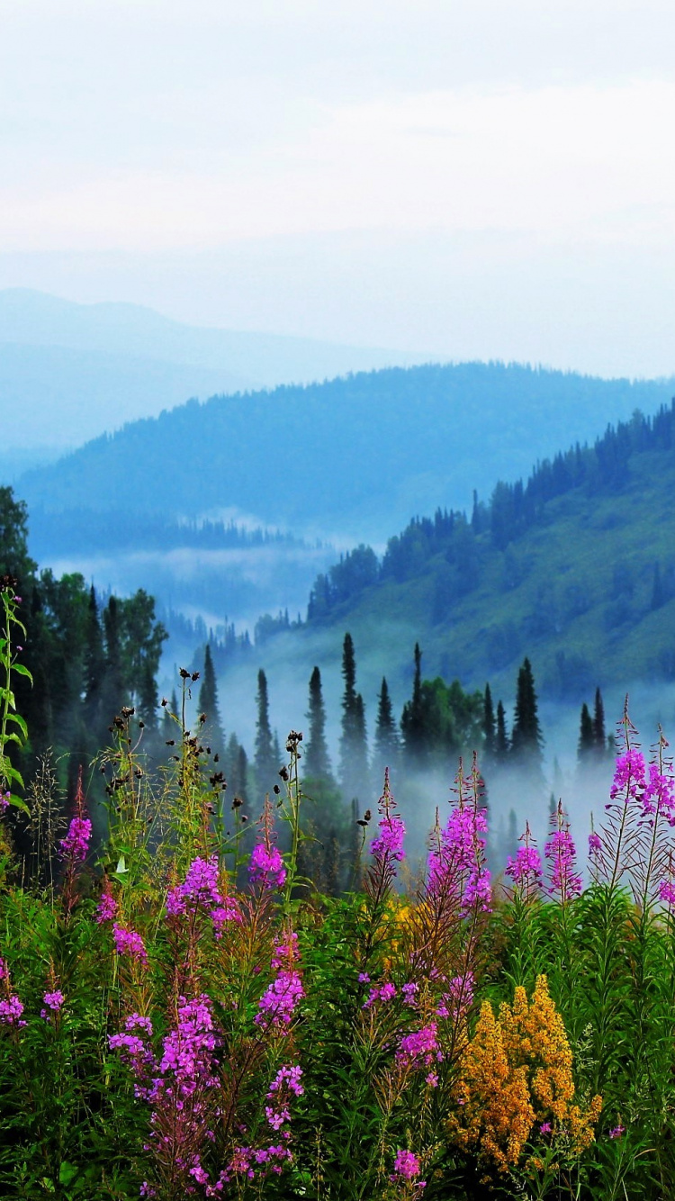 Обои Сибирь, природа, дикая местность, гора, озеро в разрешении 750x1334