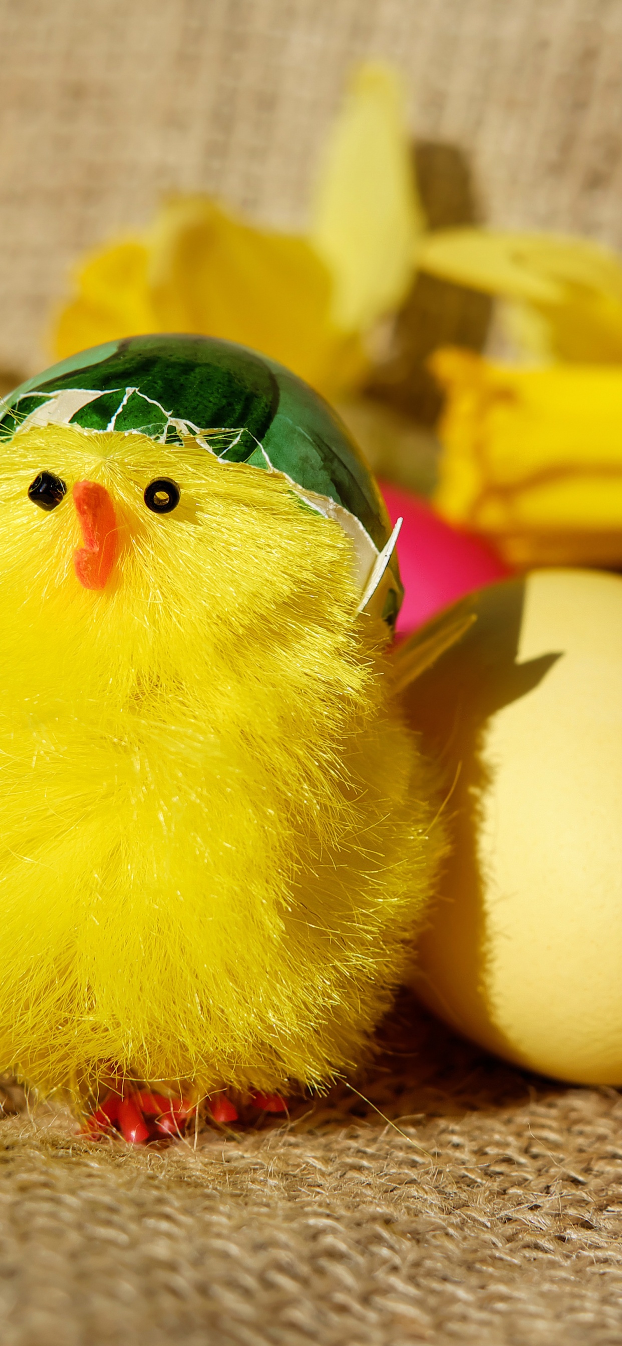 Обои курица, желтый, яйцо, пасхальное яйцо, пасха в разрешении 1242x2688