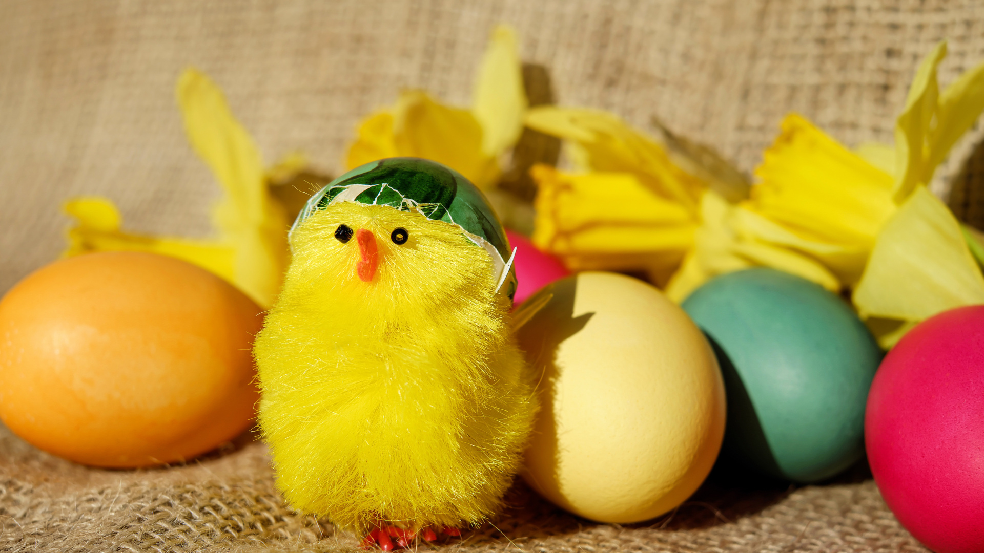 Обои курица, желтый, яйцо, пасхальное яйцо, пасха в разрешении 1920x1080