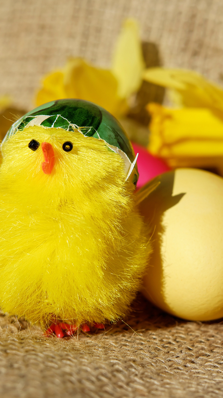 Обои курица, желтый, яйцо, пасхальное яйцо, пасха в разрешении 750x1334