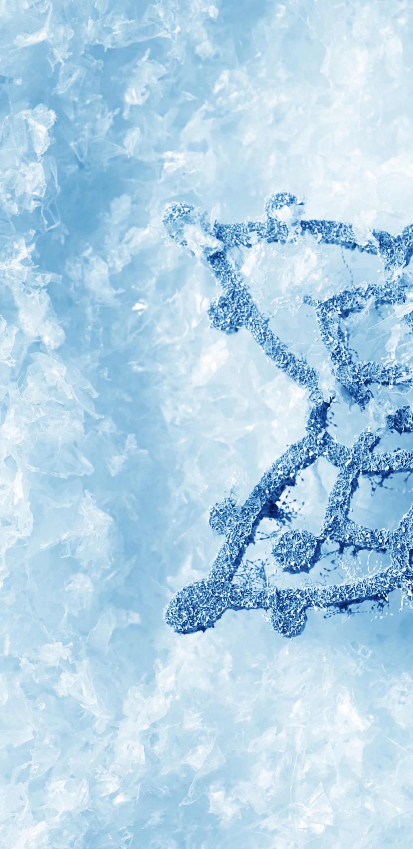 Обои туман, голубой лед, зима, вода, снег в разрешении 1440x2960