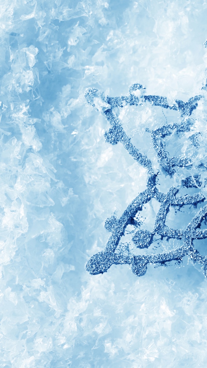 Обои туман, голубой лед, зима, вода, снег в разрешении 720x1280