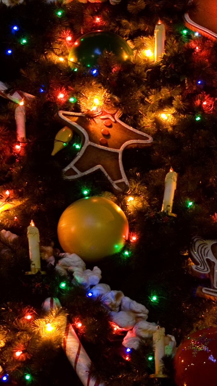 Обои Рождественский день, елка, рождественский орнамент, Рождество, Рождественские украшения в разрешении 720x1280