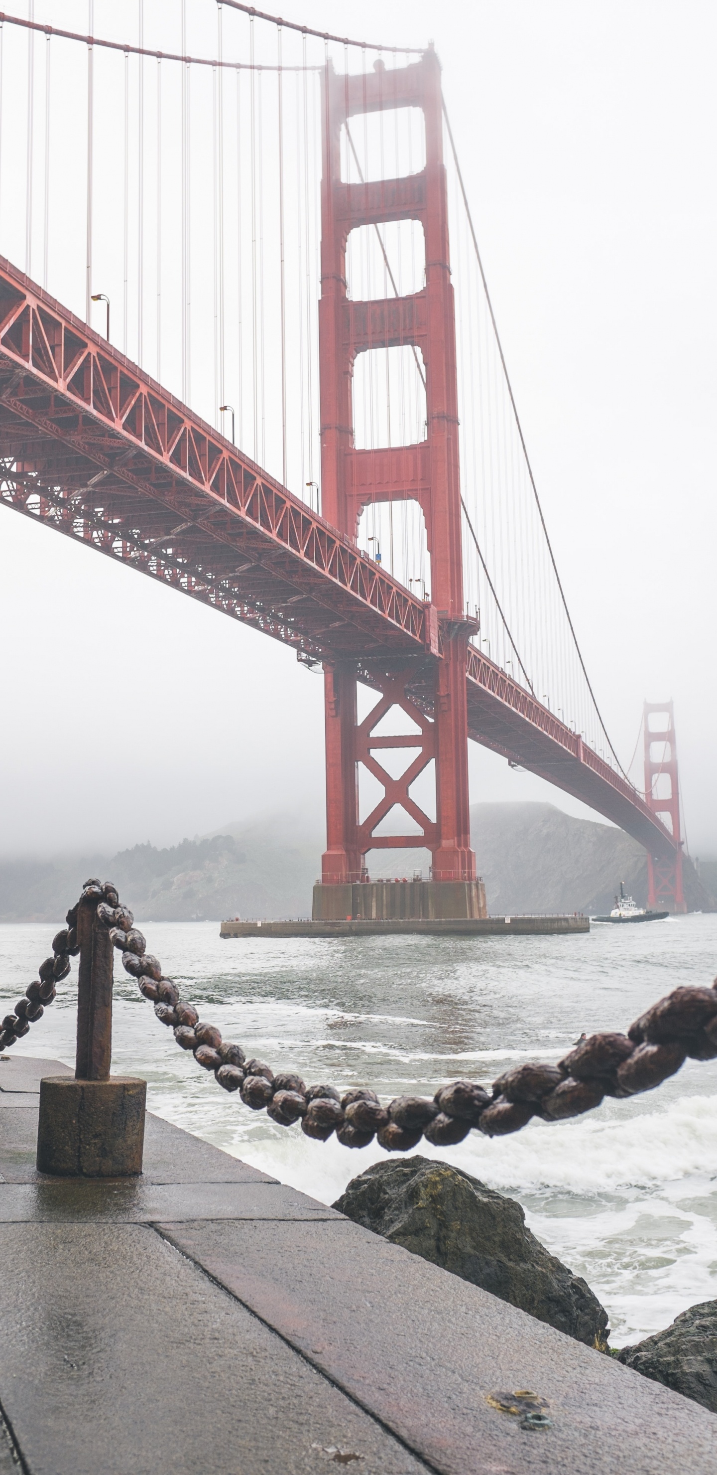 Обои мост Golden Gate, мост, подвесной мост, вантовый мост, extradosed мост в разрешении 1440x2960