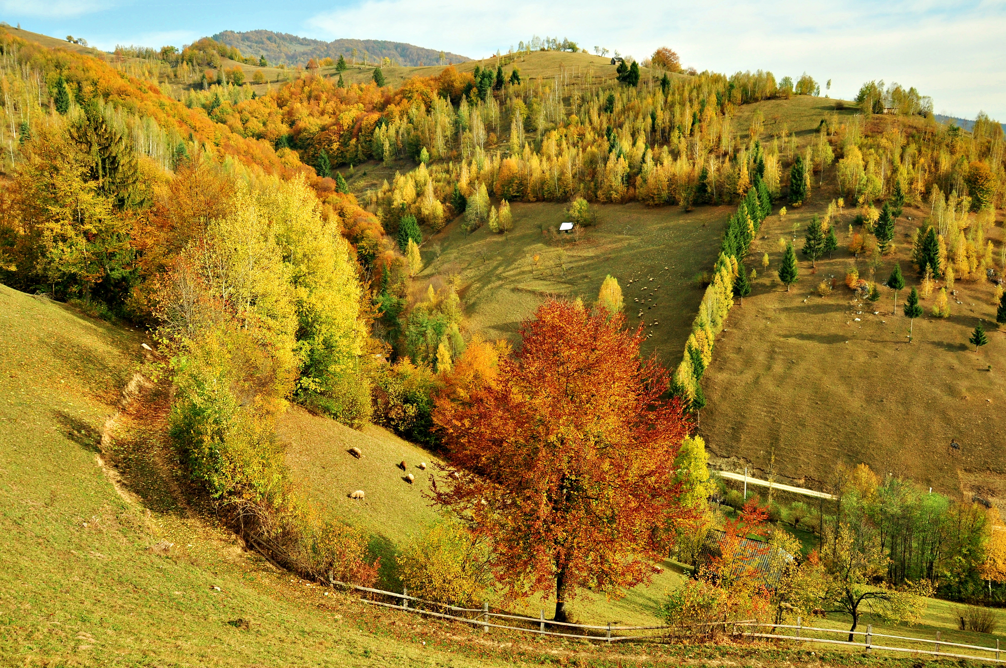 Осенние Дали Фото