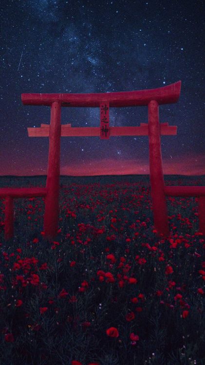 Обои атмосфера, растение, вода, цветок, тории в разрешении 1440x2560