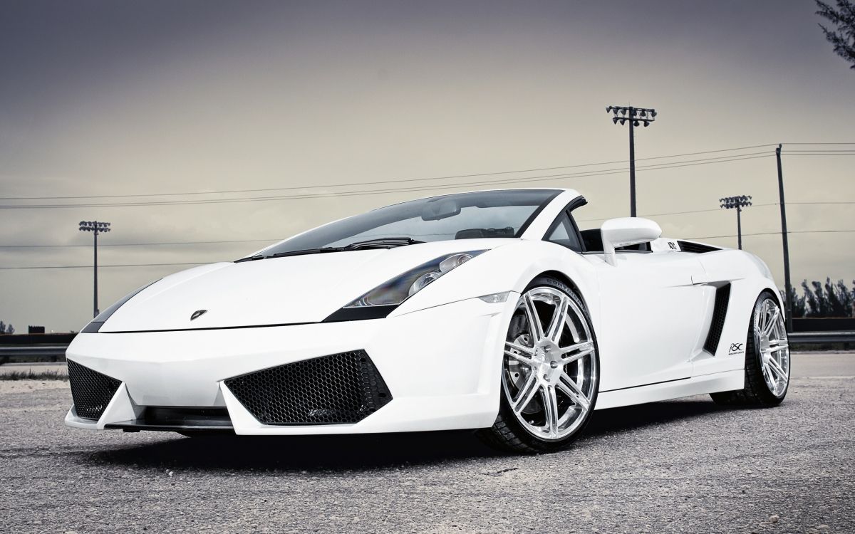 Обои lamborghini gallardo, Ламборджини, lamborghini уракан, суперкар, белые в разрешении 2560x1600