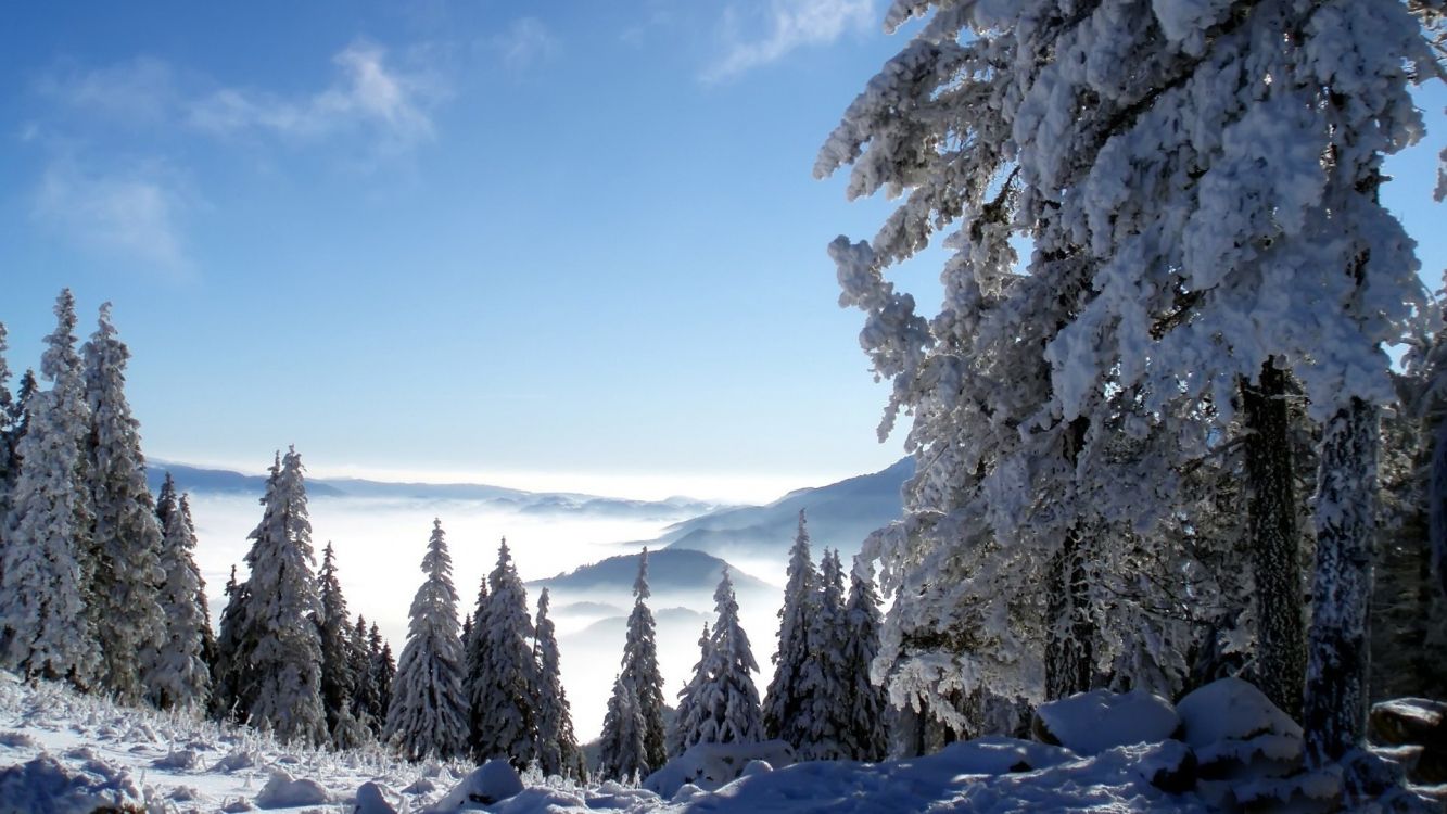Обои пейзаж, снег, зима, дерево, природа в разрешении 3840x2160