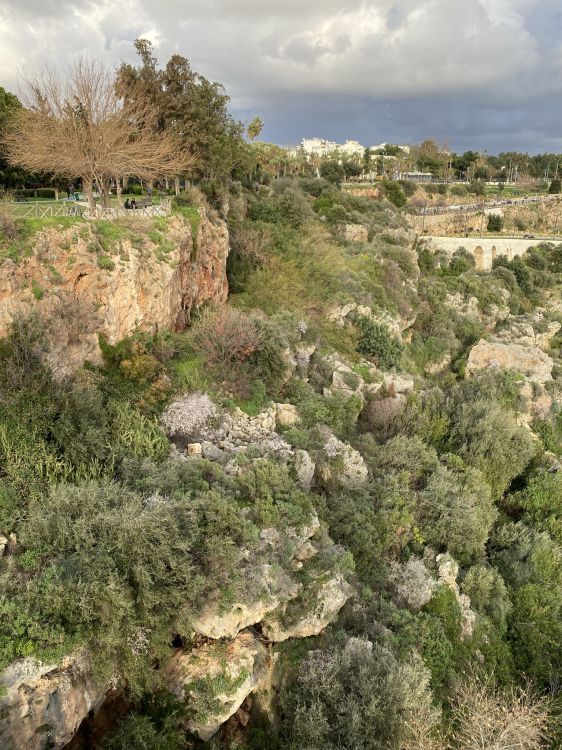 Обои растительность, биом, кустарник, обнажение, облако в разрешении 1536x2048