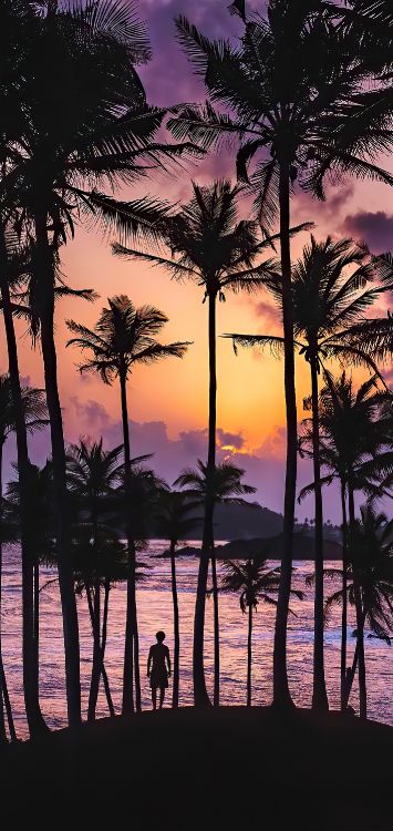 Обои послесвечение, вода, свет, дерево, растение в разрешении 1420x3000