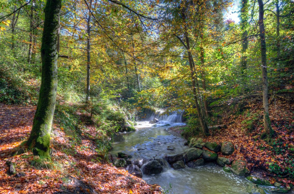 Обои природа, вода, растение, природный ландшафт, дерево в разрешении 4897x3238