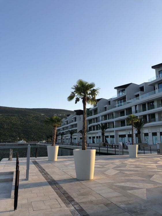 Обои недвижимость, кондоминиум, городской дизайн, жилой район, древесные растения в разрешении 1536x2048