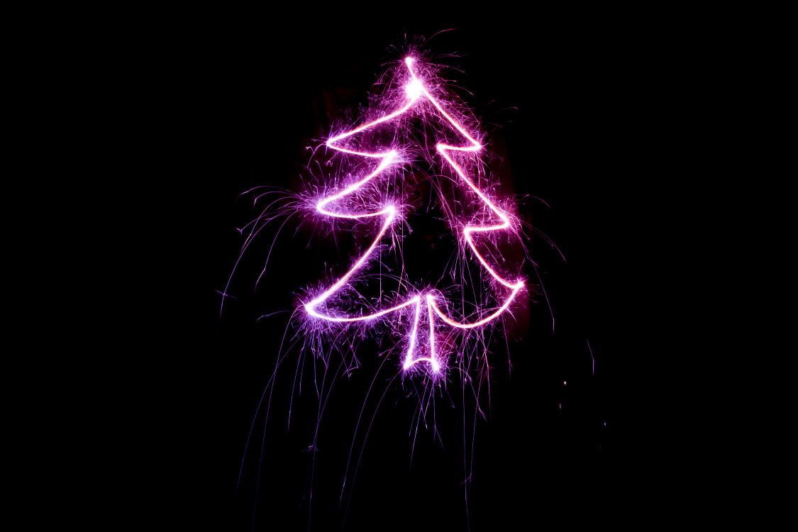 Обои Рождественский день, елка, пурпур, Фиолетовый, свет в разрешении 5184x3456