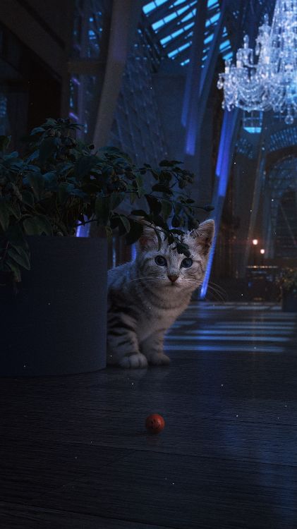 Обои русская голубая, черная кошка, котенок, кот, растение в разрешении 3240x5760