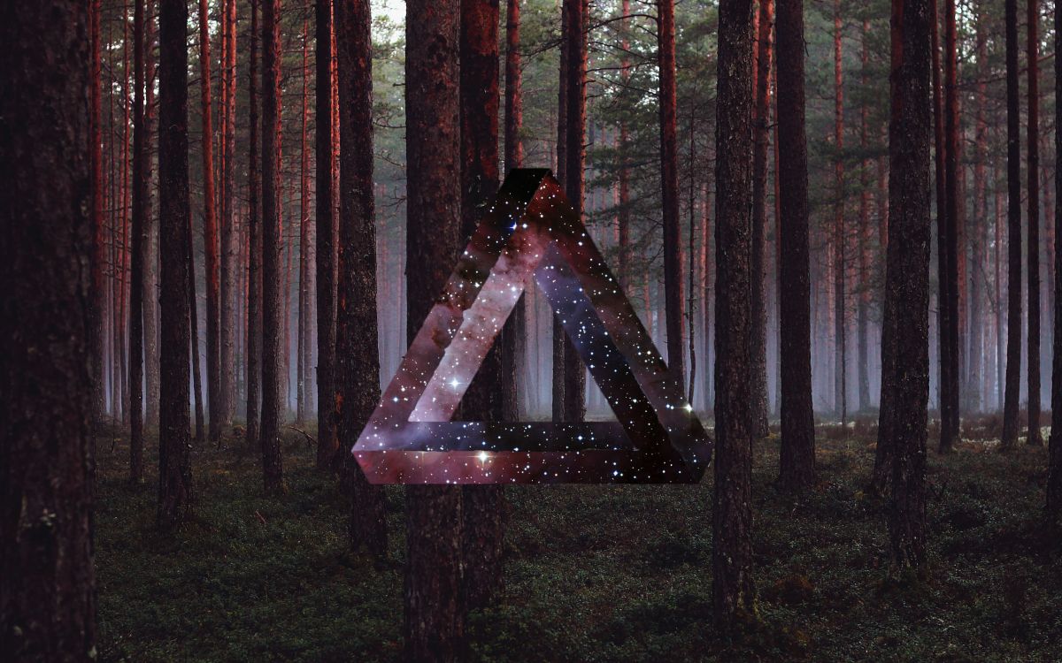 Обои лес, дерево, свет, лесистая местность, Информация в разрешении 2560x1600