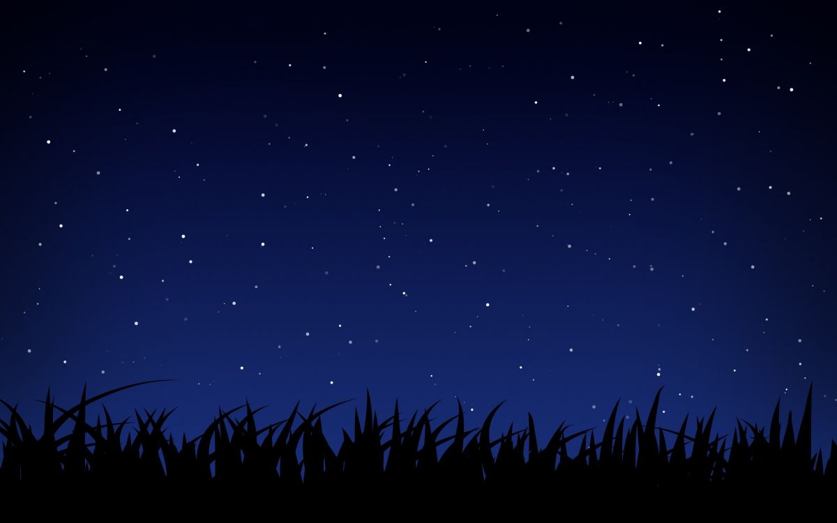 Обои картинка, ночное небо, черный, ночь, атмосфера в разрешении 2560x1600
