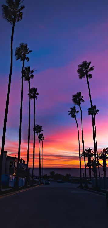 Обои облако, послесвечение, вода, сумрак, закат в разрешении 1422x3000