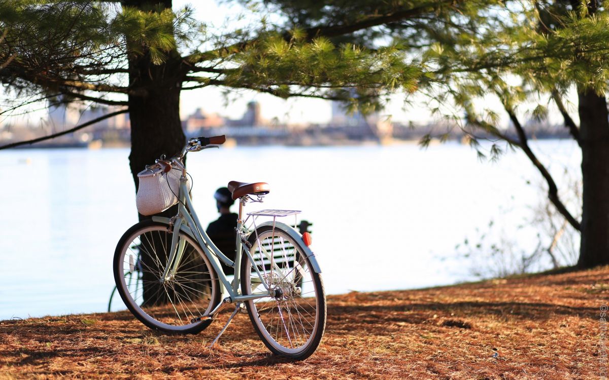 Обои велосипед, деревья, река, осень, реки в разрешении 2560x1600