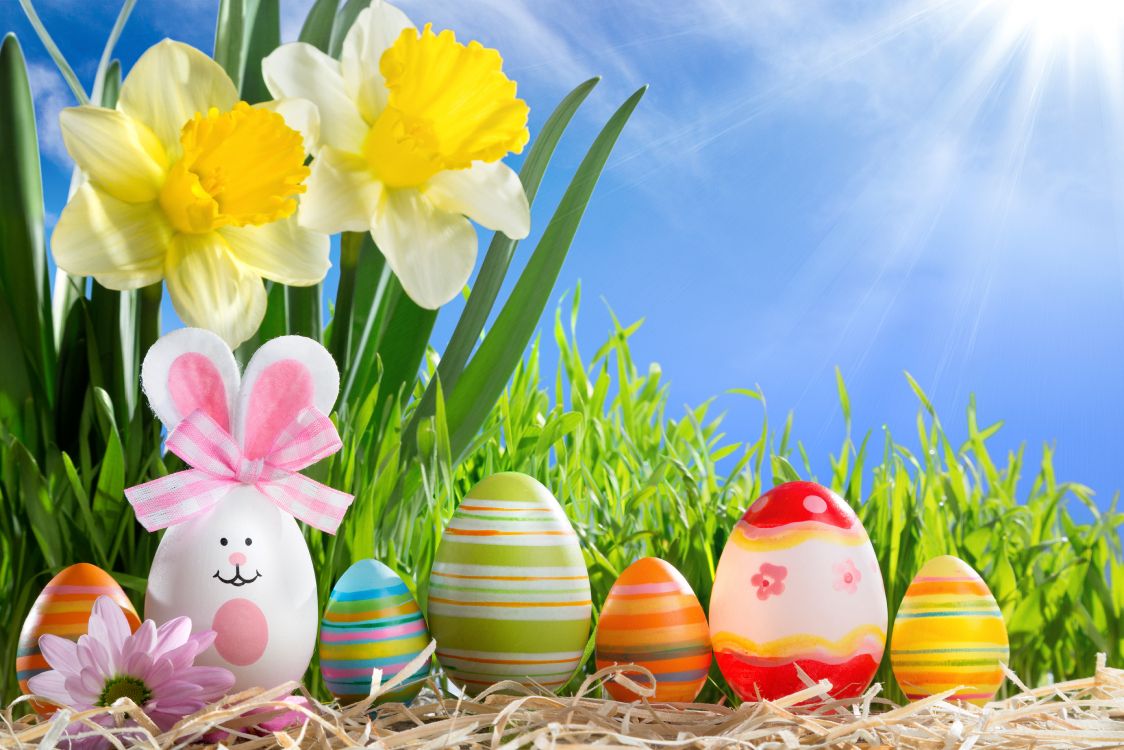 Обои пасхальное яйцо, весна, праздник, пасха, цветок в разрешении 7360x4907
