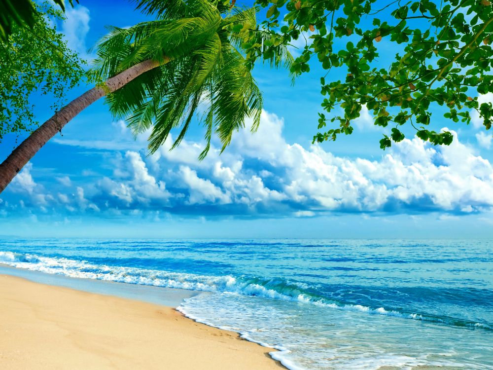 Обои пляж, природа, тропическая зона, дневное время, океан в разрешении 4000x3000