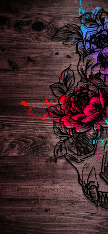 Обои визуальное искусство, арт, цветок, растение, лепесток в разрешении 1080x2340