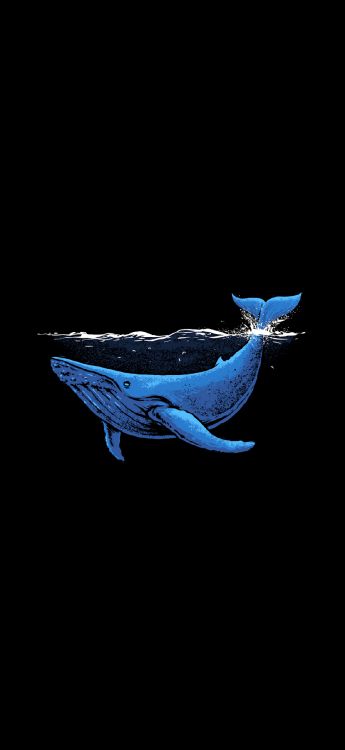 Обои синий Кит, Кит, минималистский телефон, жидкий, финн в разрешении 1179x2556