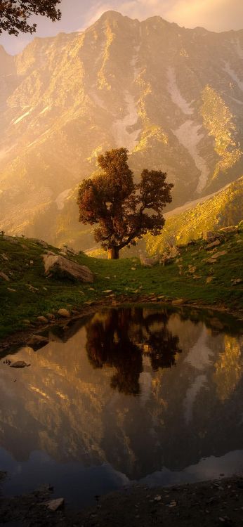 Обои портрет природы, природа, пейзаж, soundcloud, портрет в разрешении 1080x2340