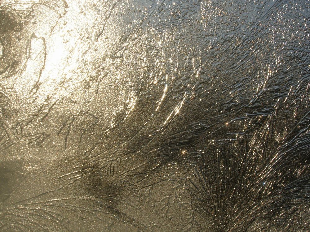 Обои текстура, вода, дерево, солнечный свет, трава в разрешении 2800x2100