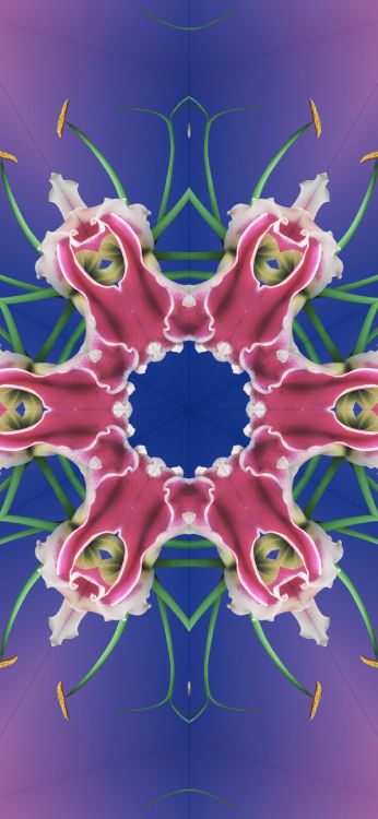 Обои iOS 17, iOS 17 калейдоскоп, яблоко, iOS 16, я уточнила в разрешении 1290x2796