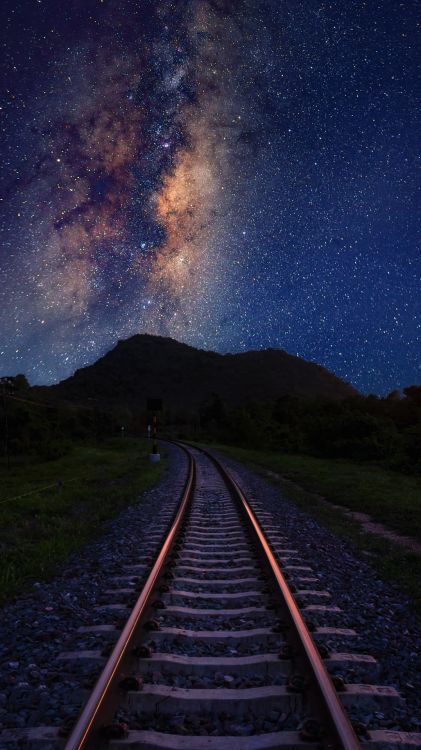 Обои бухта акульих плавников, В eyeem, иллюстрация, растение, природа в разрешении 1080x1920