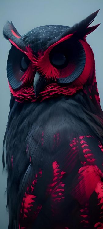 Обои черная красная сова, Филин, сова, Красный сова, большая рогатая сова в разрешении 1080x2400