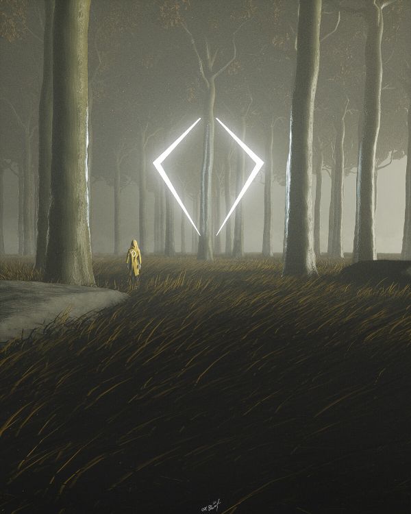 Обои свет, атмосфера, темнота, дерево, туман в разрешении 2400x3000