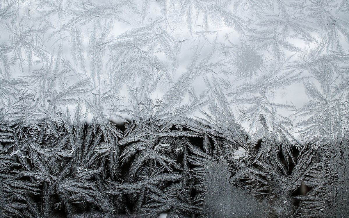 Обои орнамент, черный и белый, зима, текстура, мороз в разрешении 1920x1200