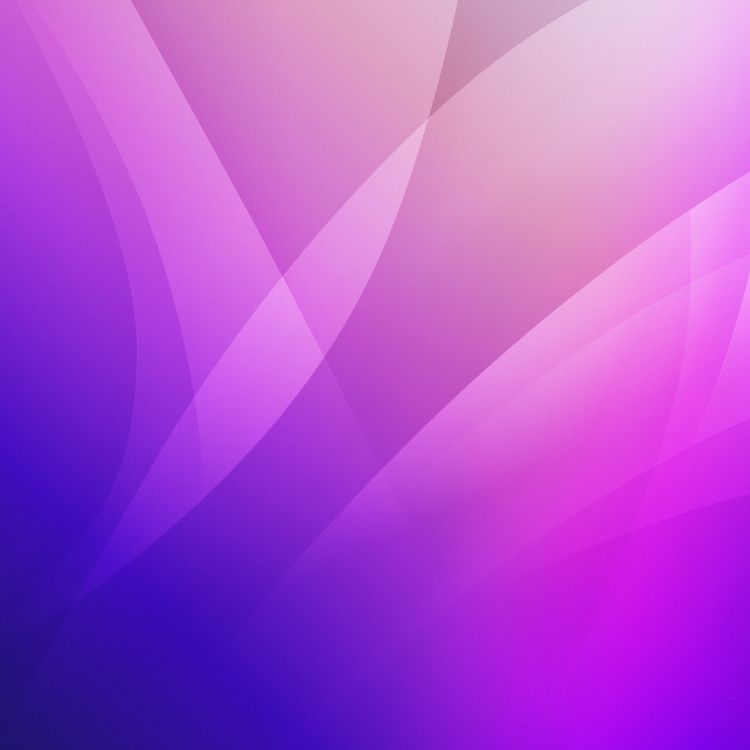 Обои сирень, графический пользовательский интерфейс, пурпур, Фиолетовый, розовый в разрешении 3208x3208