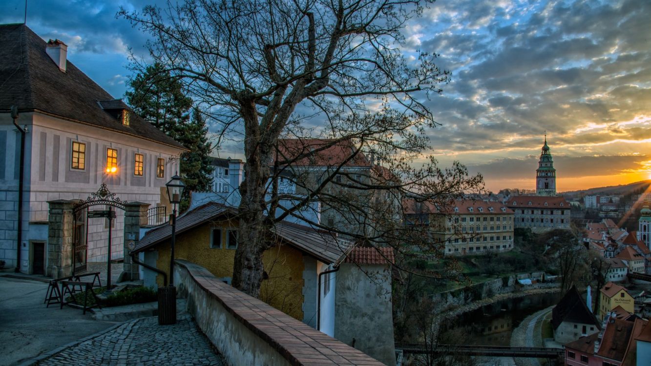 Обои городок, дерево, городской район, утро, вечер в разрешении 3840x2160