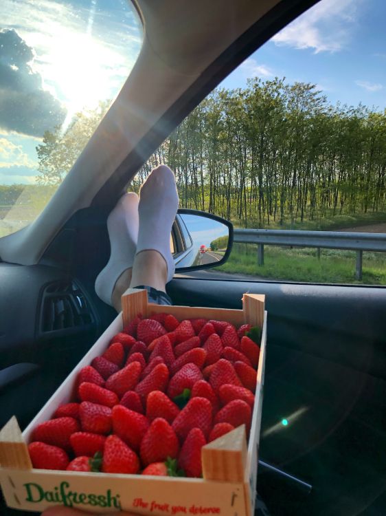 Обои местное блюдо, клубника, биология, наука, автомобильное зеркало в разрешении 3024x4032