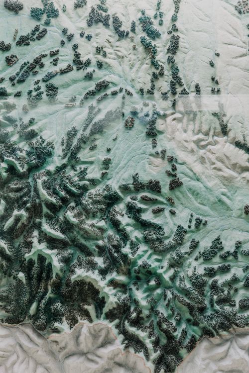 Обои зеленый, военный камуфляж, узор, дерево, ткань в разрешении 3840x5760