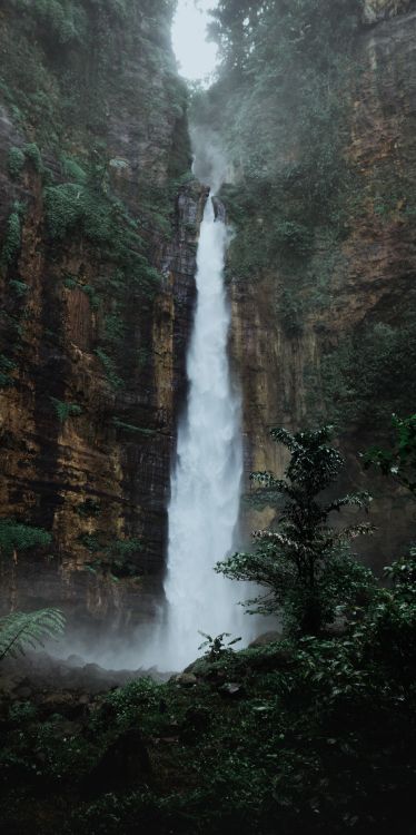 Обои голубой хлопковый водопад, водопад, вода, растение, природный ландшафт в разрешении 2446x4893