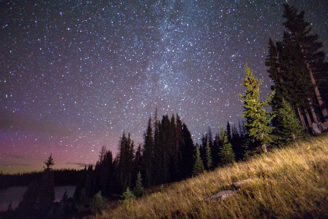 Обои природа, ночь, дерево, звезда, атмосфера в разрешении 2025x1350