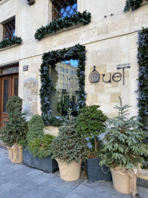 Обои дерево, цветочный горшок, комнатное растение, однолетнее растение в разрешении 1536x2048