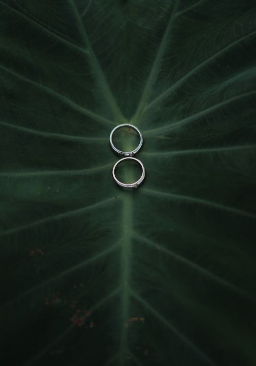 Обои атмосфера, зеленый, вода, круг, технологии в разрешении 4000x5724