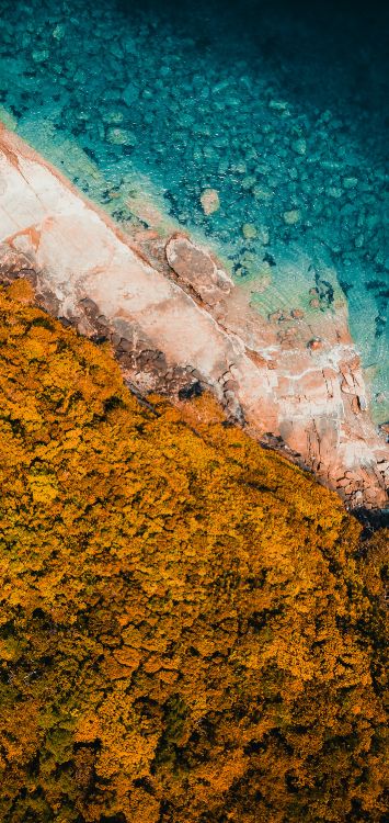 Обои вода, геометрия, математика, лист, Оранжевый цвет в разрешении 1420x3000