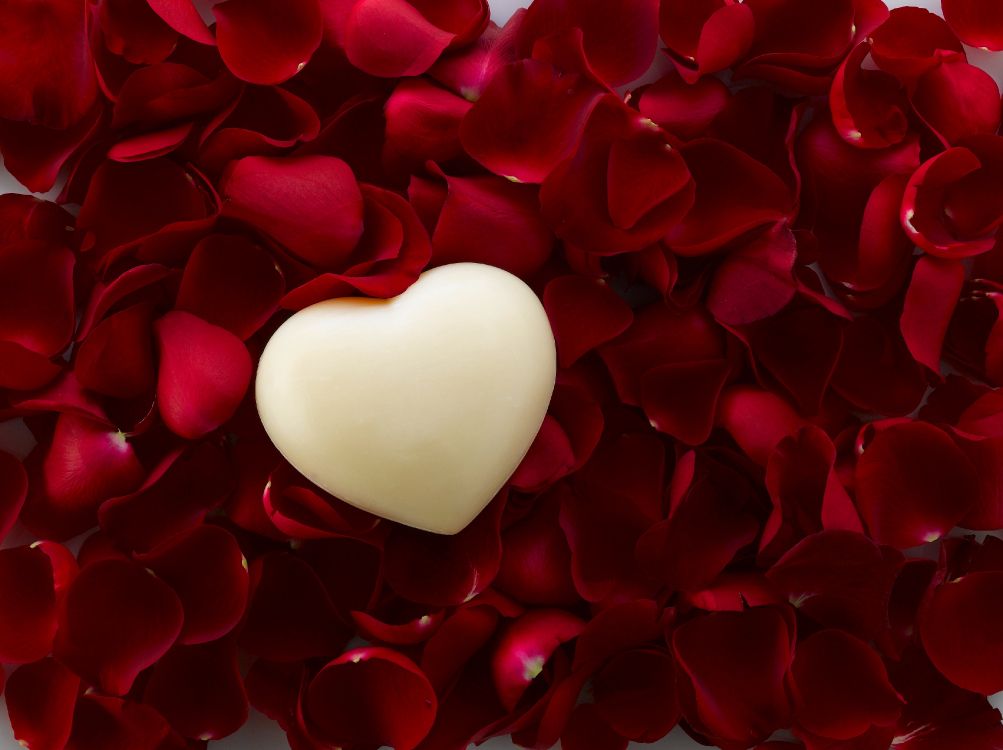 Обои сердце, красный цвет, лепесток, День Святого Валентина, любовь в разрешении 3713x2774