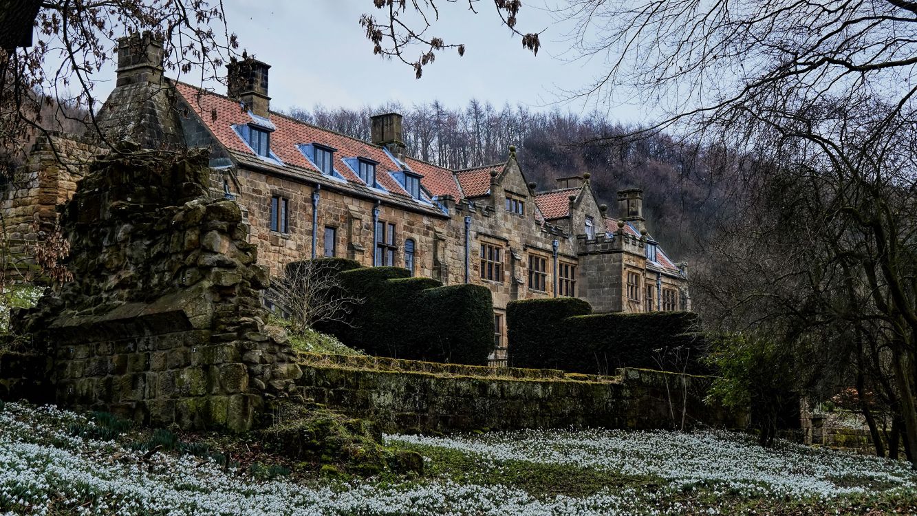 Обои природа, имущество, Хаус, дерево, здание в разрешении 3840x2160