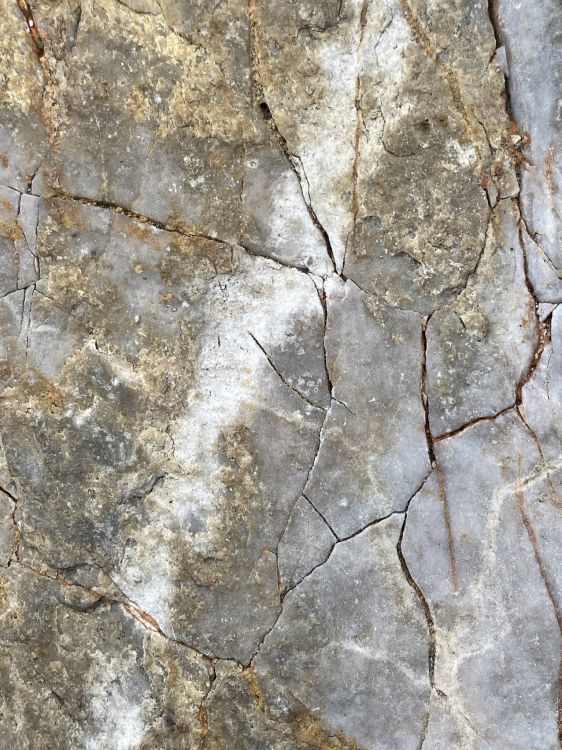 Обои стена, обнажение, коричневый цвет, коренная порода, древесина в разрешении 1536x2048