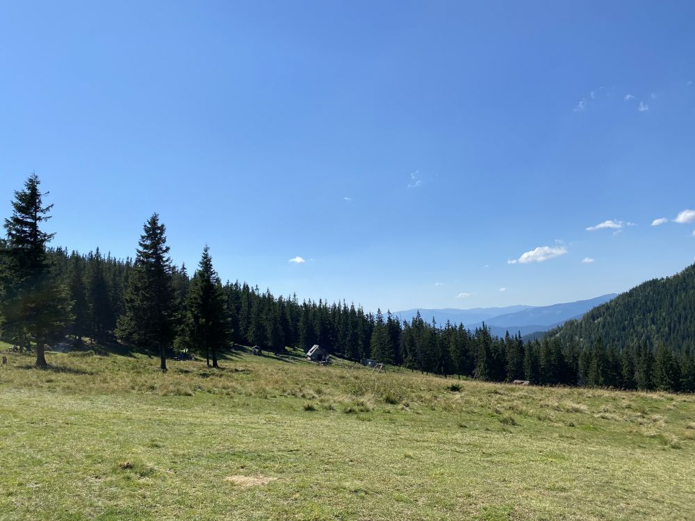 Обои окружающая среда, природный ландшафт, дерево, пейзаж, земельный участок в разрешении 2048x1536