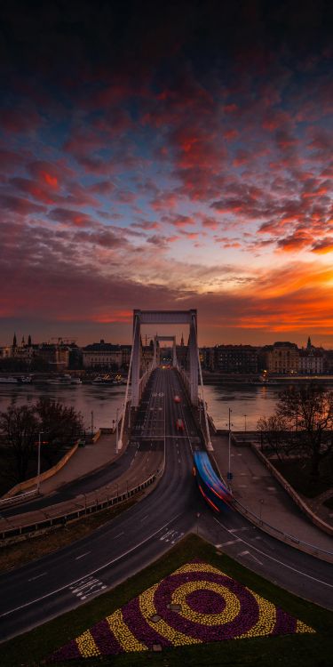 Обои Будапешт, облако, вода, растение, инфраструктура в разрешении 1600x3200