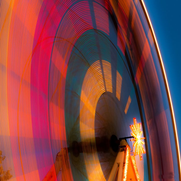 Обои стоковая рыба-парусник, андроид, Посредством чего, красочность, Апельсин в разрешении 2048x2048