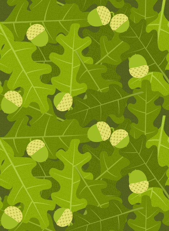 Обои дуб, желудь, зеленый, лист, узор в разрешении 2237x3061