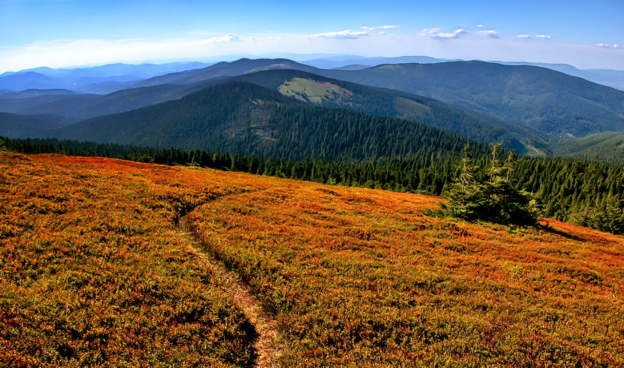 Обои дикая местность, гора, растение, растительное сообщество, окружающая среда в разрешении 4282x2528